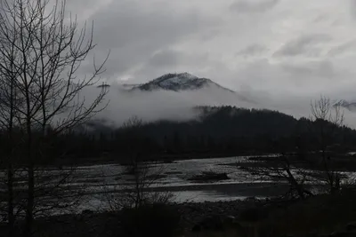 DSC_6788 (Large).JPG